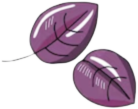 Exotické Chute