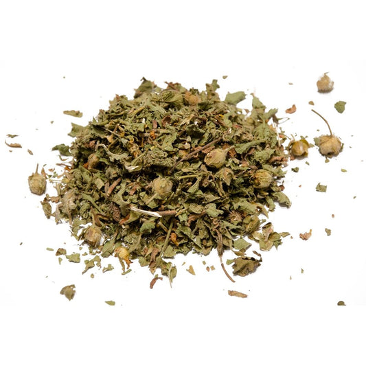 Kistos na Kréte (Aladania – Kounoukla). 30 g.