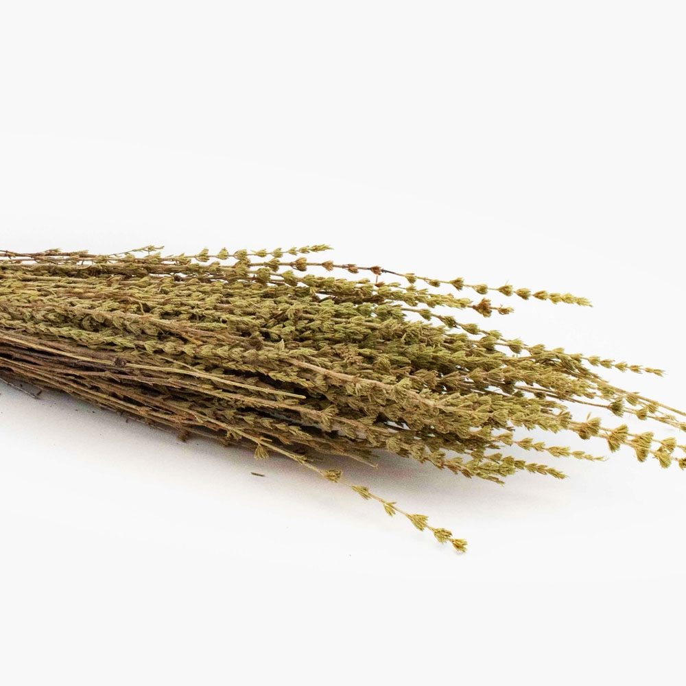 Kyparissaki z Kréty (Polykombo). 50 g.