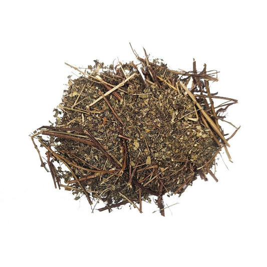 Rock-cut Chanca Piedra PHYLANTHOS. 30 g.