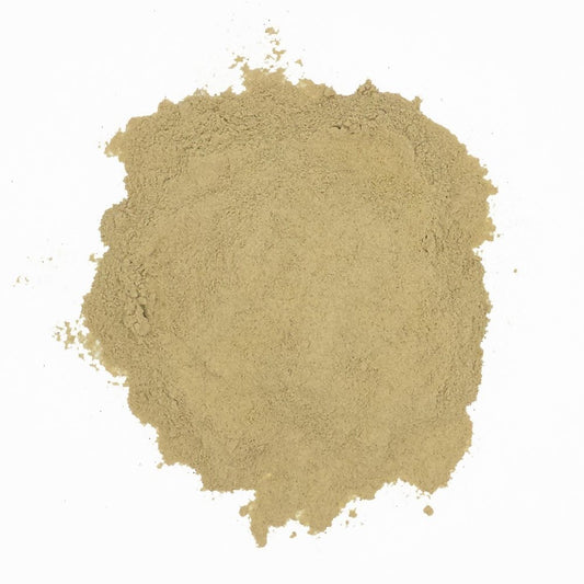 Salepi sypký prášok AA grécky. 20 g.